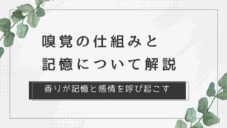 嗅覚の仕組みと記憶について解説【香りが記憶と感情を呼び起こす】