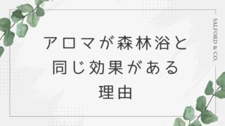 アロマが森林浴と同じ効果がある理由【木の香りでリラックス】