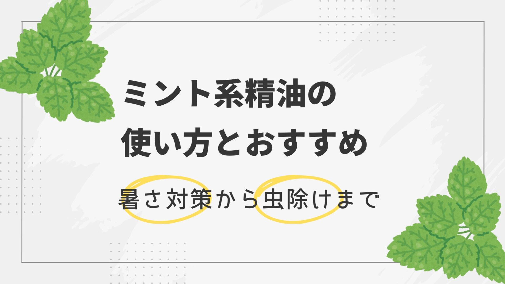 ミント精油の使い方とおすすめのブレンド精油を紹介【暑さ対策から虫除けまで万能】